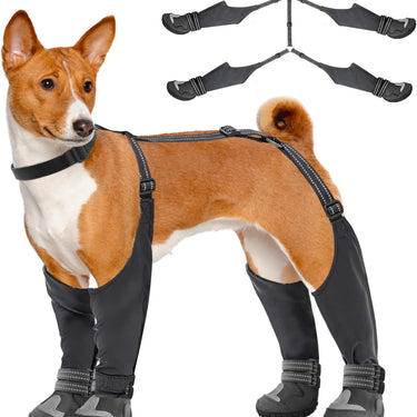 PawGuard™ - Adjustable Dog Suspender Boots for Winter Hiking