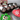 Luxdessert™ - Elegant Dessert Plate Set of 13