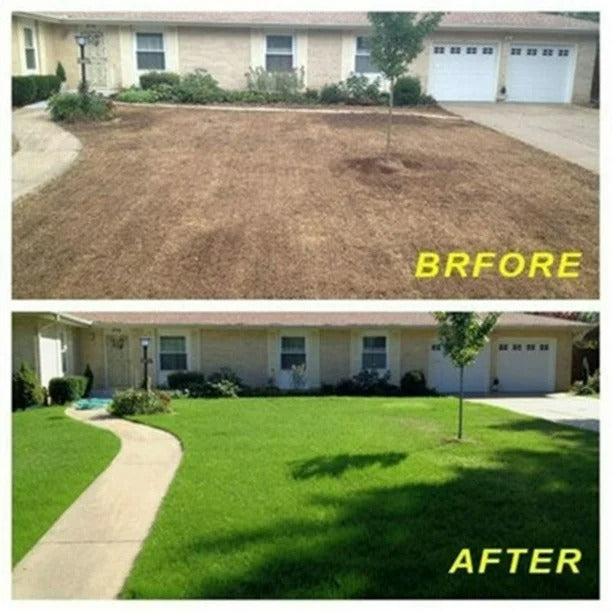 EcoRoll™ - Organic Lawn Mat: Roll-Out Instant Lawn with Zero Chemicals (38% OFF)