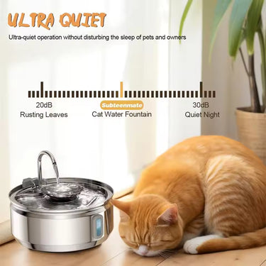 The Doggy Cat Fountain