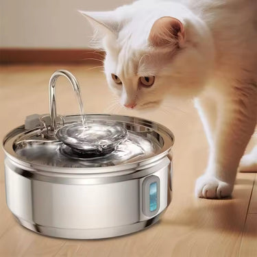 The Doggy Cat Fountain