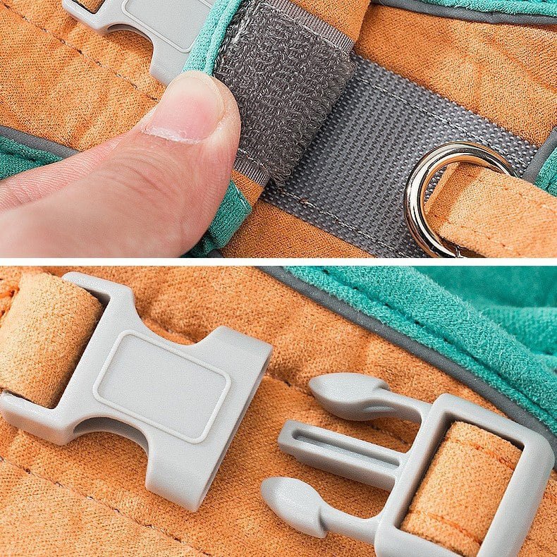 Cat Harness and Leash Set for Outdoor Cat Walking - Lozenza
