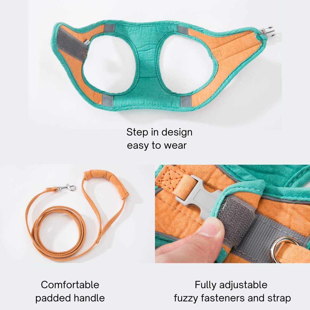Cat Harness and Leash Set for Outdoor Cat Walking - Lozenza