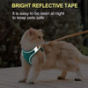 Cat Harness and Leash Set for Outdoor Cat Walking - Lozenza